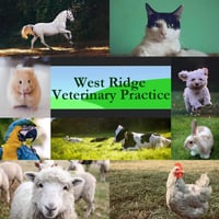 West Ridge Veterinary Practice logo
