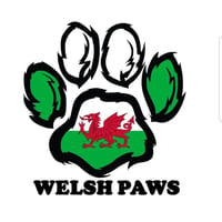 WELSH PAWS logo