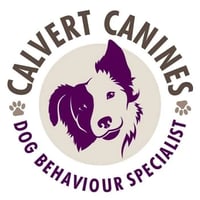 Calvert Canines logo