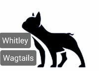 Whitley Wagtails logo