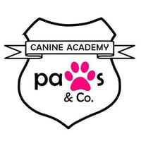 Pawsagility - Pet Dog Agility Training Anglesey and Gwynedd logo