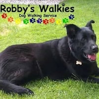 Robby's Walkies logo