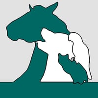 Rhianfa Veterinary Centre logo