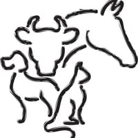 Steffan Veterinary Services logo