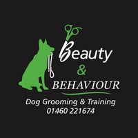 Beauty & Behaviour logo