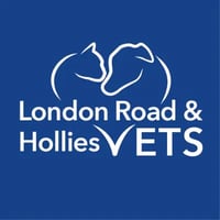 The Hollies Veterinary Clinic logo