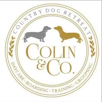 Colin & Co. logo