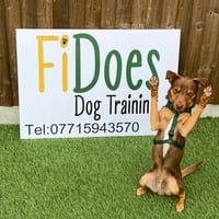 FiDoes Dog Training logo