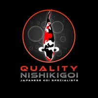 Japanese Koi For Sale UK- Quality Nishikigoi logo