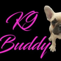 K9 Buddy logo