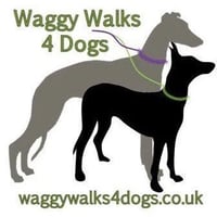 Waggy Walks 4 Dogs - Dog Home Boarding logo