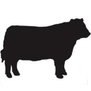 Buchan Veterinary Clinics - Peterhead logo
