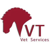 VT Vets logo