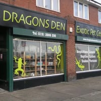 Dragons Den Exotic Pets- Reptiles, Snakes, Amphibians, Lizards, Arachnids logo