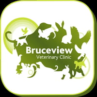 Bruceview Veterinary Clinic logo