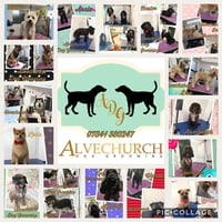 Alvechurch Dog Grooming Ltd logo
