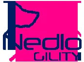 Nedlo Dog Agility logo