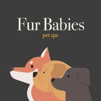 Fur Babies Spa logo
