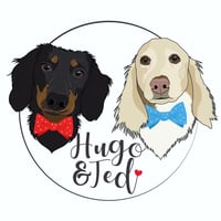 Hugo and Ted Ltd logo