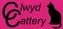 Clwyd Cattery logo