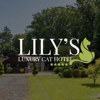 Lily's Luxury Retreat logo