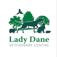 Lady Dane Vets logo