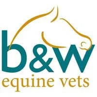 B&W Equine Group - Willesley logo