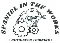 Rabley Gundog Training logo