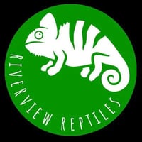 Riverview Reptiles logo