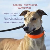 Barley Greyhound Sanctuary logo
