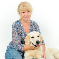 Happy Pets and Paws Pet Care Services Ilminster logo