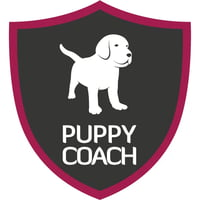 Dogs Logic - Jo Croft logo