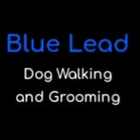 Blue Lead Dog Walking South Queensferry logo