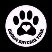 Doggie Daycare York logo