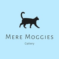 Mere Moggies Cattery logo