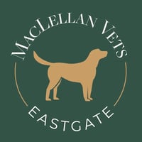 MacLellan Vets Eastgate logo