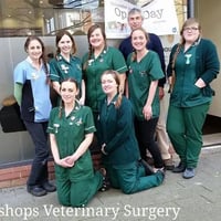 The Bishops Veterinary Surgery logo