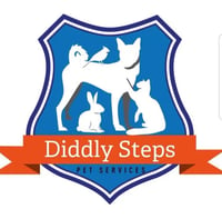 Diddly Steps logo