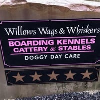 Willows Wags & Whiskers logo