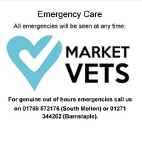 Market Veterinary Centre logo
