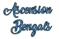 Ascension Bengals logo