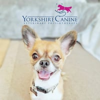 Yorkshire Canine Veterinary Physiotherapy logo