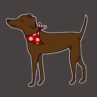 Maggie's Dog Walking & Animal Care logo