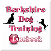 Berkshire Dog Training logo