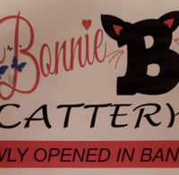 Bonnie B's Cattery logo