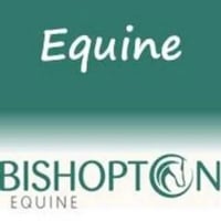 Bishopton Equine Veterinary Services logo