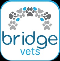 Bridge Vets logo