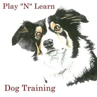 Play 'n' Learn Dog Training logo