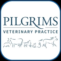Pilgrims Veterinary Practice logo