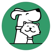 All Four Paws York - Dog Walking and Pet Care logo